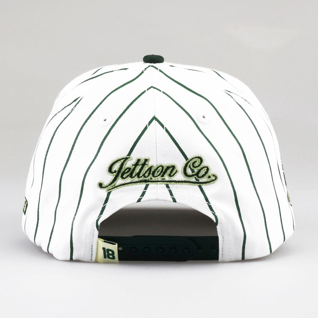 SWING FOR THE FENCES SNAPBACK HAT