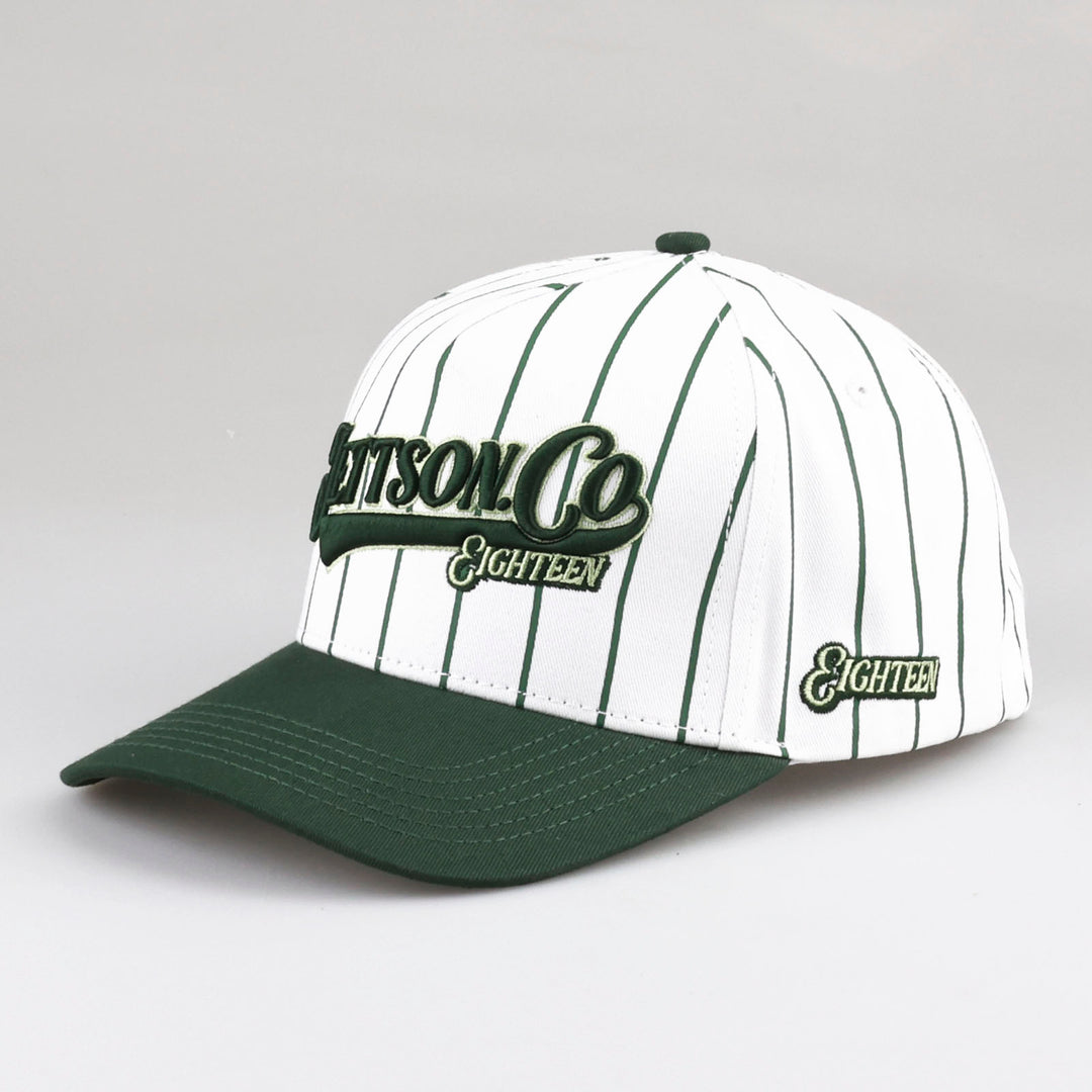 SWING FOR THE FENCES SNAPBACK HAT
