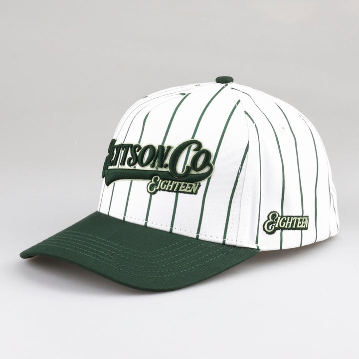 SWING FOR THE FENCES SNAPBACK HAT